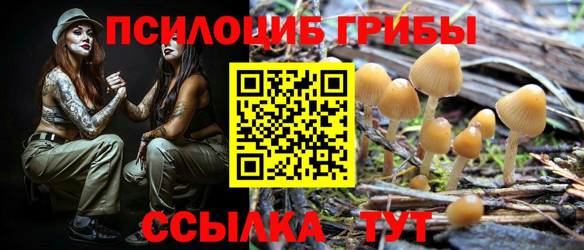 Пугачёв  Псилоцибиновые грибы MAGIC MUSHROOMS  Вход с VPN 