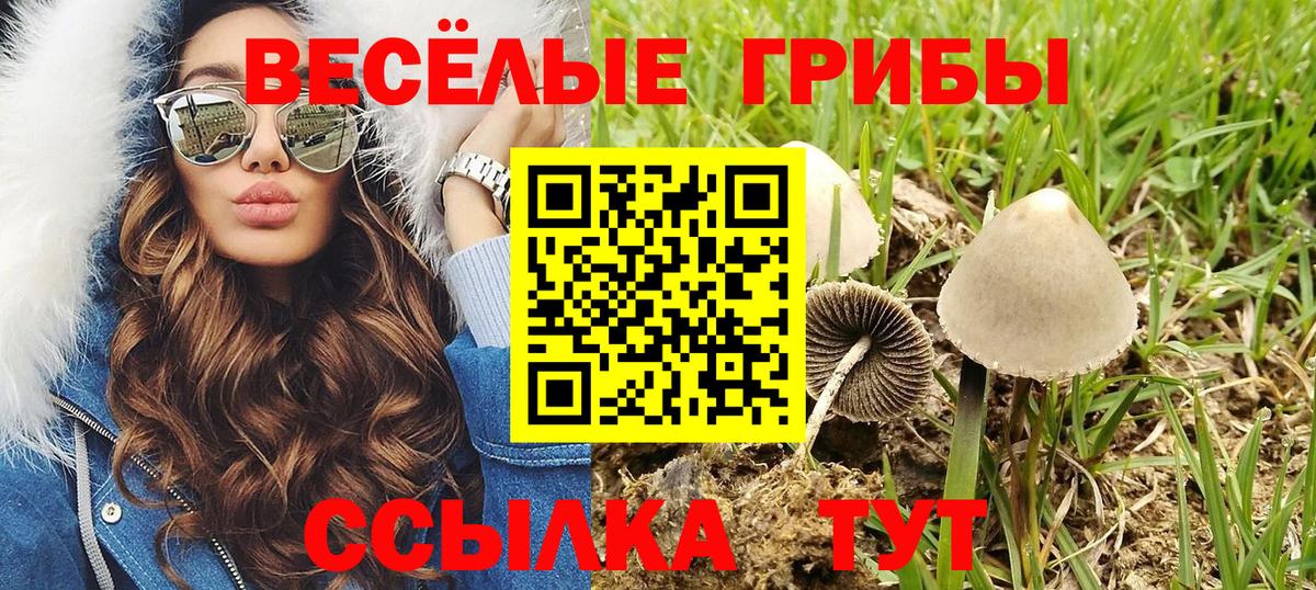 Псилоцибиновые грибы мицелий Пугачёв