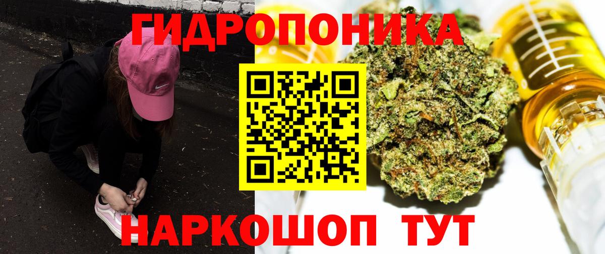 Конопля марихуана  Вход с VPN  Марихуана Amnesia  Шишки марихуана план  Пугачёв  Канабис LSD WEED 